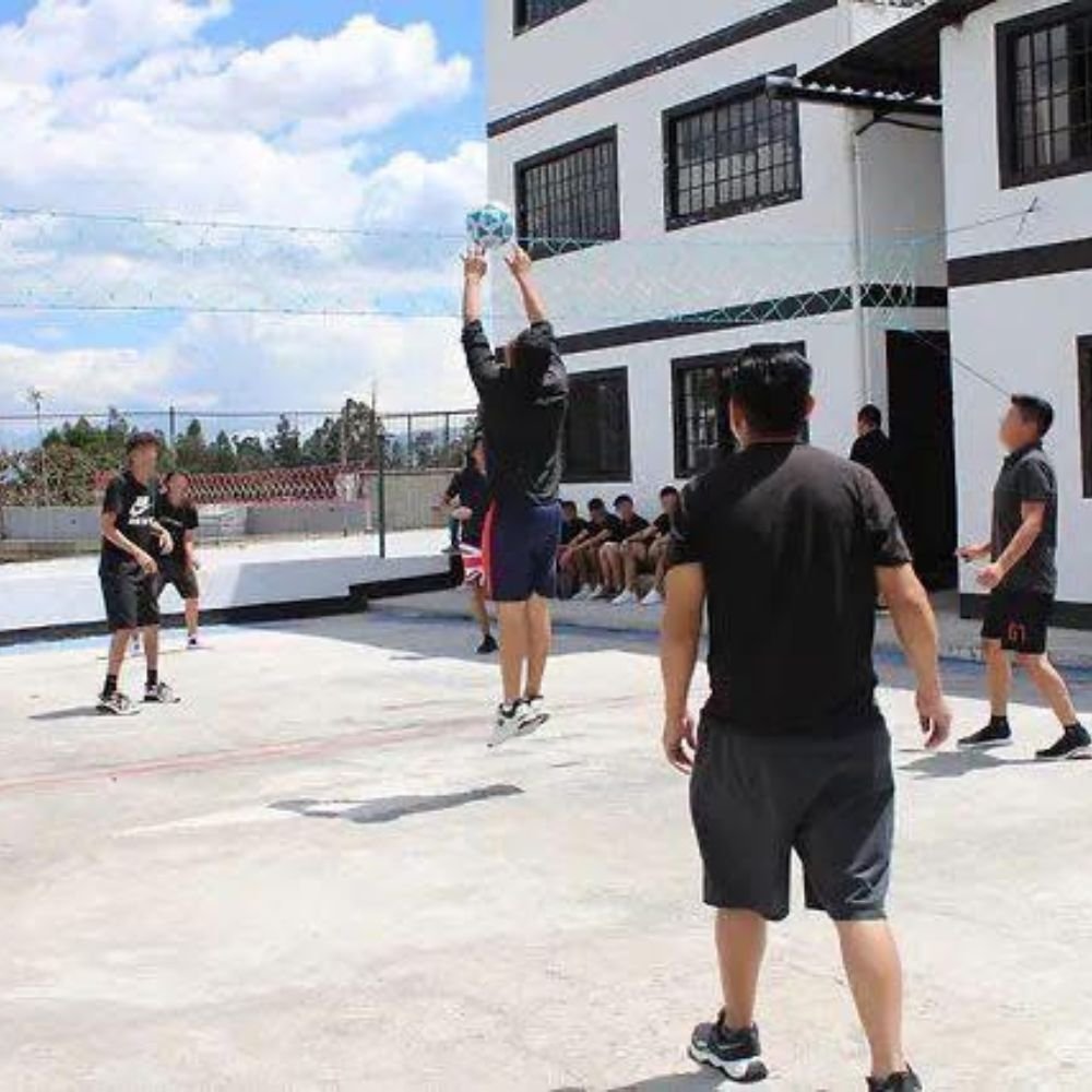 diseño sin título (2)